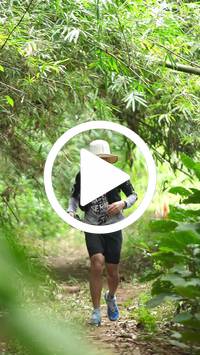 BIB:  <button type="button" onclick="openModal(26822691)" class="btn btn-primary btn-sm float-right" data-toggle="modal" data-target=".modal-high-quality">
                <i class="fa fa-download"></i> Download
                </button>